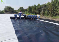 Composite Geomembrane Anti Seepage With Geotextile Waterproof
